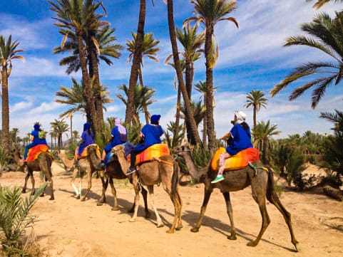 imgi 7 big imgi 7 big