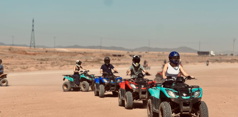 quad (3)