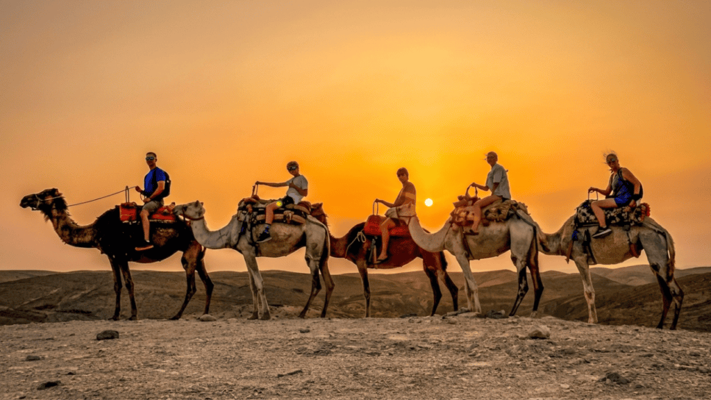 agafay camel ride